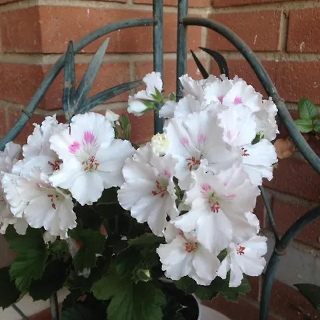 Alhambra Hostel Tarragona