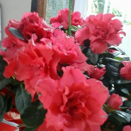 Hostel Alhambra Tarragona