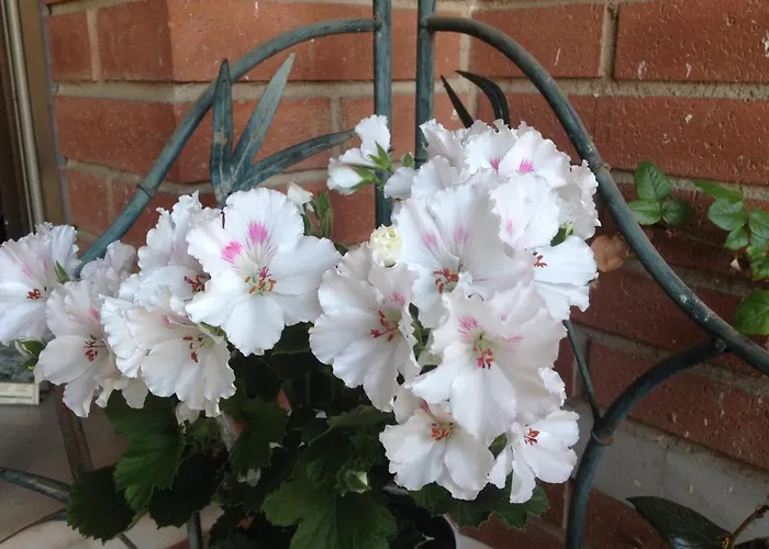 Alhambra Hostel Tarragona